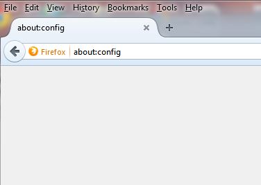 About:config in firefox browser